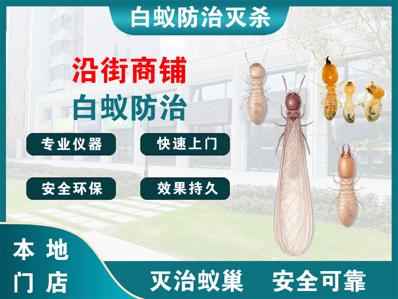 浦江县沿街商铺白蚁防治