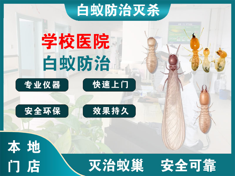 浦江县学校医院白蚁防治