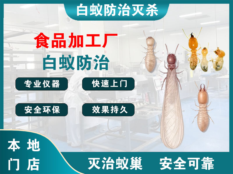 浦江县食品加工厂白蚁防治