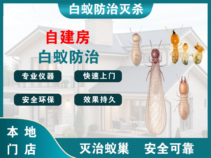 浦江县自建房白蚁防治