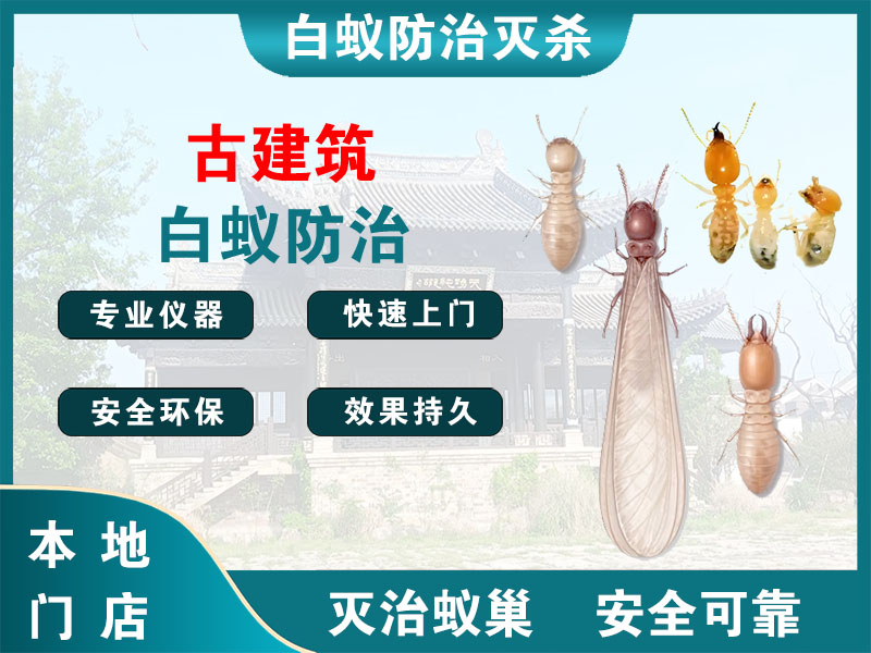 浦江县古建筑白蚁防治
