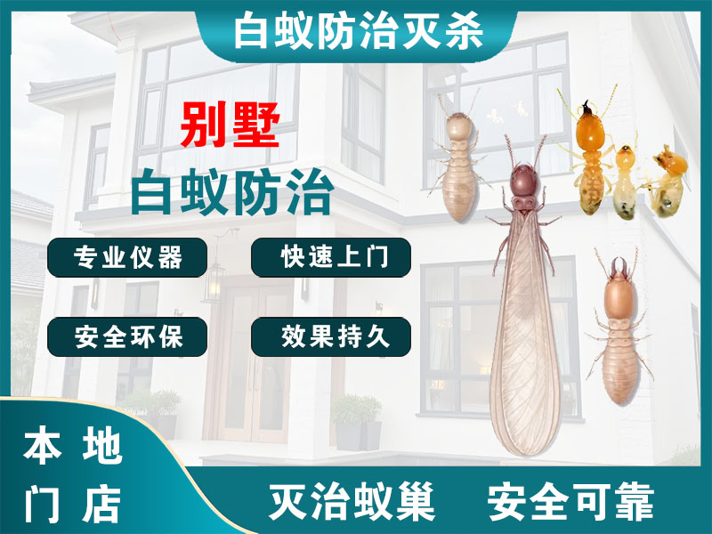 浦江县别墅白蚁防治