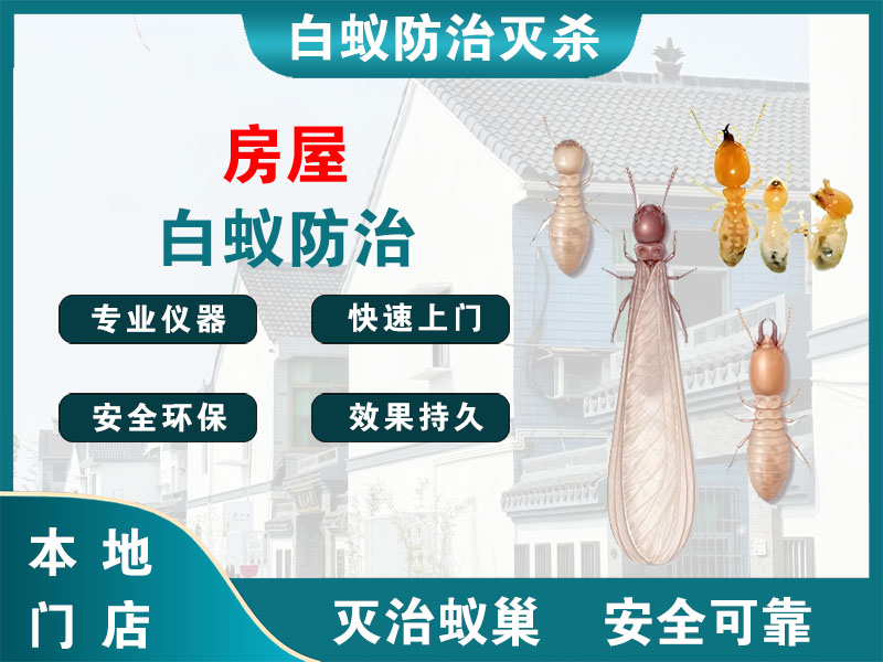 浦江县房屋白蚁防治